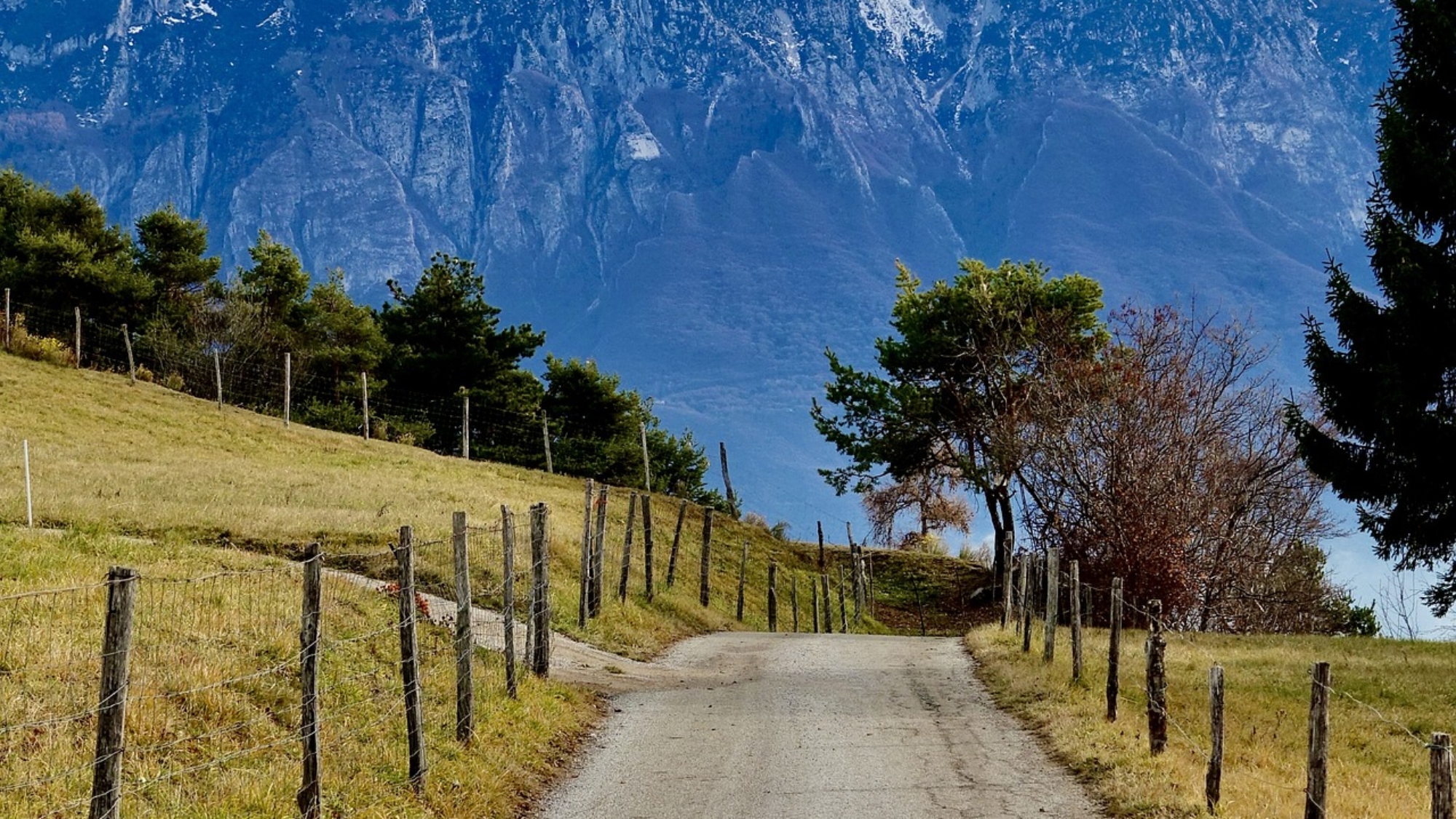 Ingeniero agrónomo_ camino rural